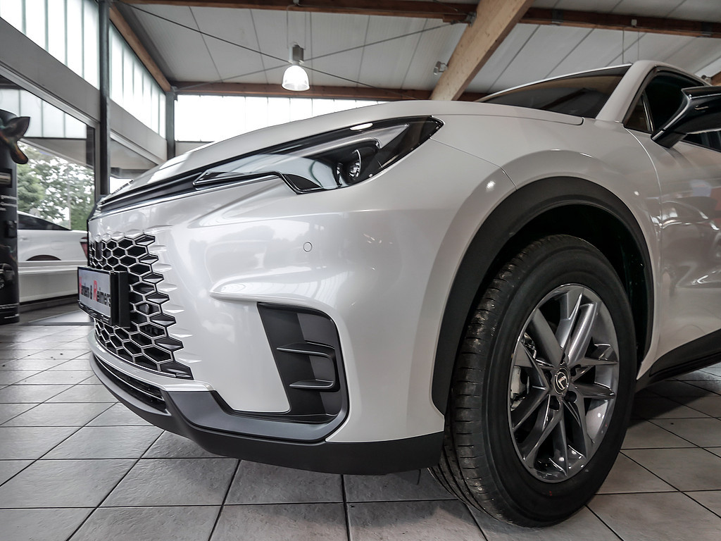 LEXUS LBX 1.5 Comfort PDC SHZ KAMERA NAVI ACC LED