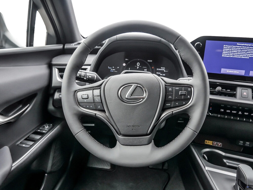 LEXUS UX 300h F-Sport SHZ LEDER KAMERA NAVI ACC LED